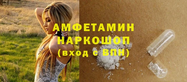 Альфа ПВП Горняк