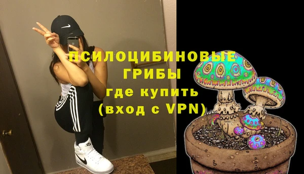 а пвп мука Горно-Алтайск