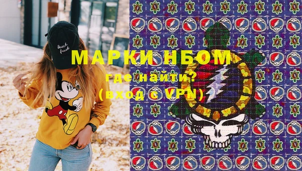 Альфа ПВП Горняк