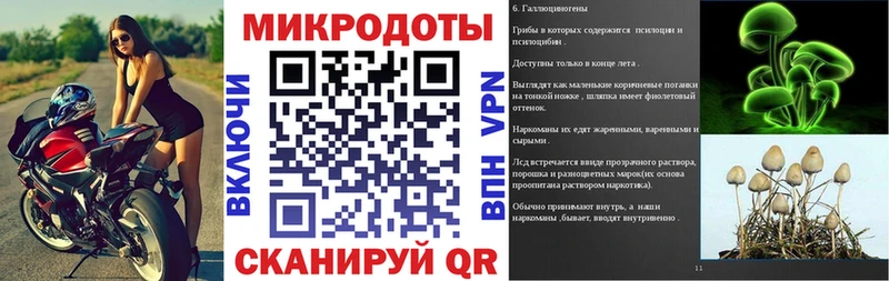 Псилоцибиновые грибы Cubensis  Калуга 